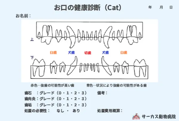 お口の健康診断（Cat）