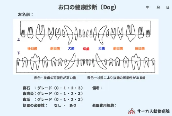 お口の健康診断（Dog）