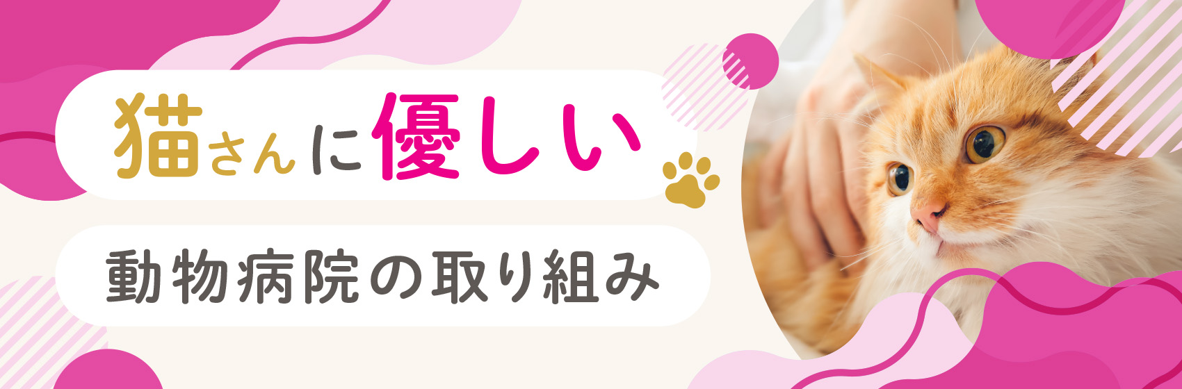 猫さんに優しい動物病院の取り組み