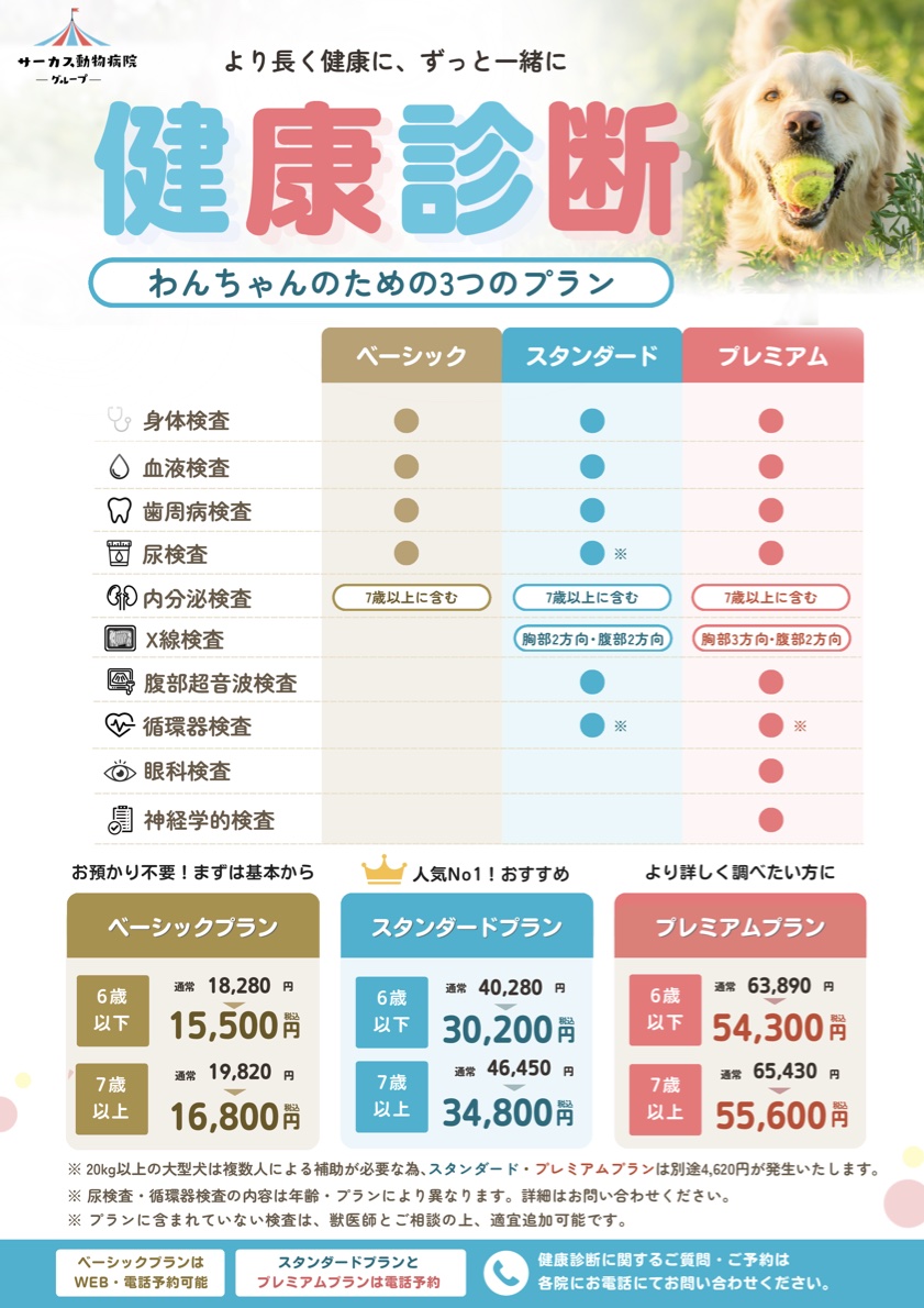 健康診断：わんちゃんのための3つのプラン