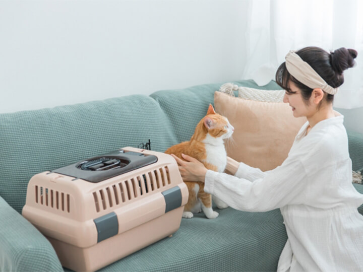 ワクチン接種の流れ