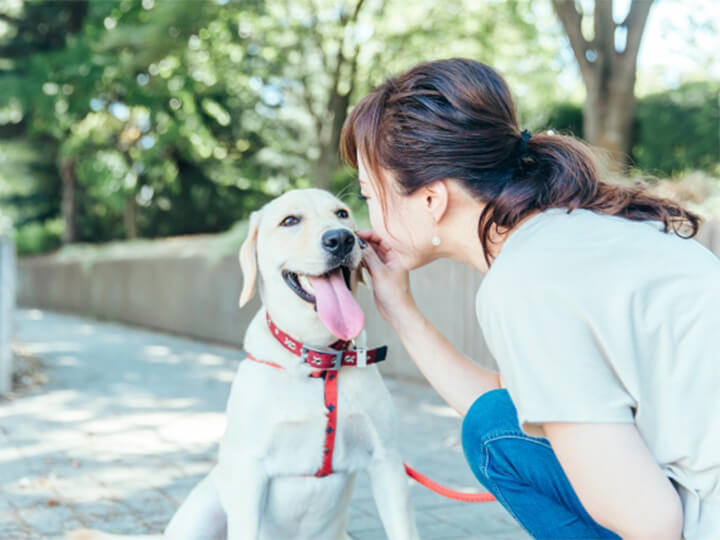 狂犬病ワクチン