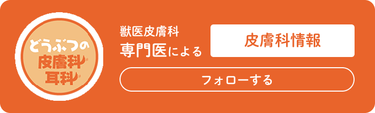サーカス皮膚科専門医による皮膚科情報