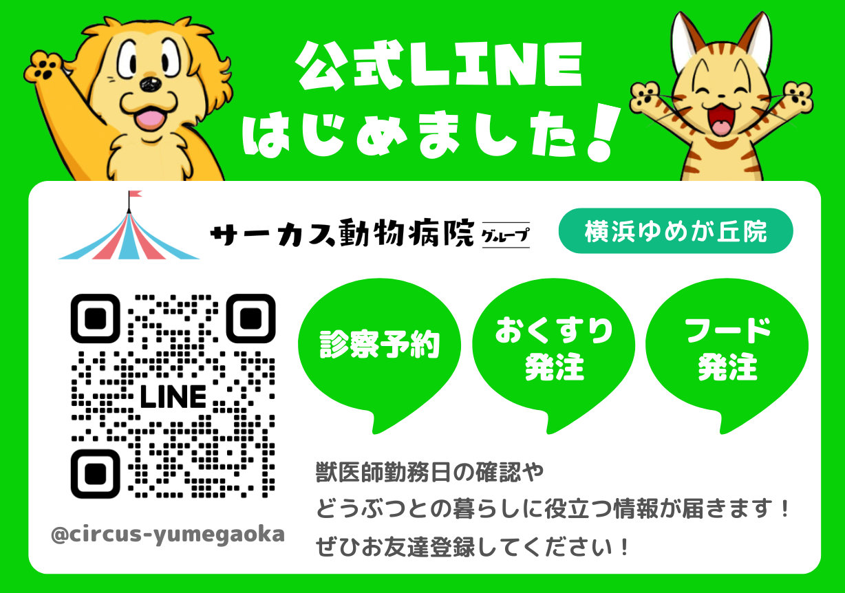 サーカス動物病院 公式LINEはじめました！