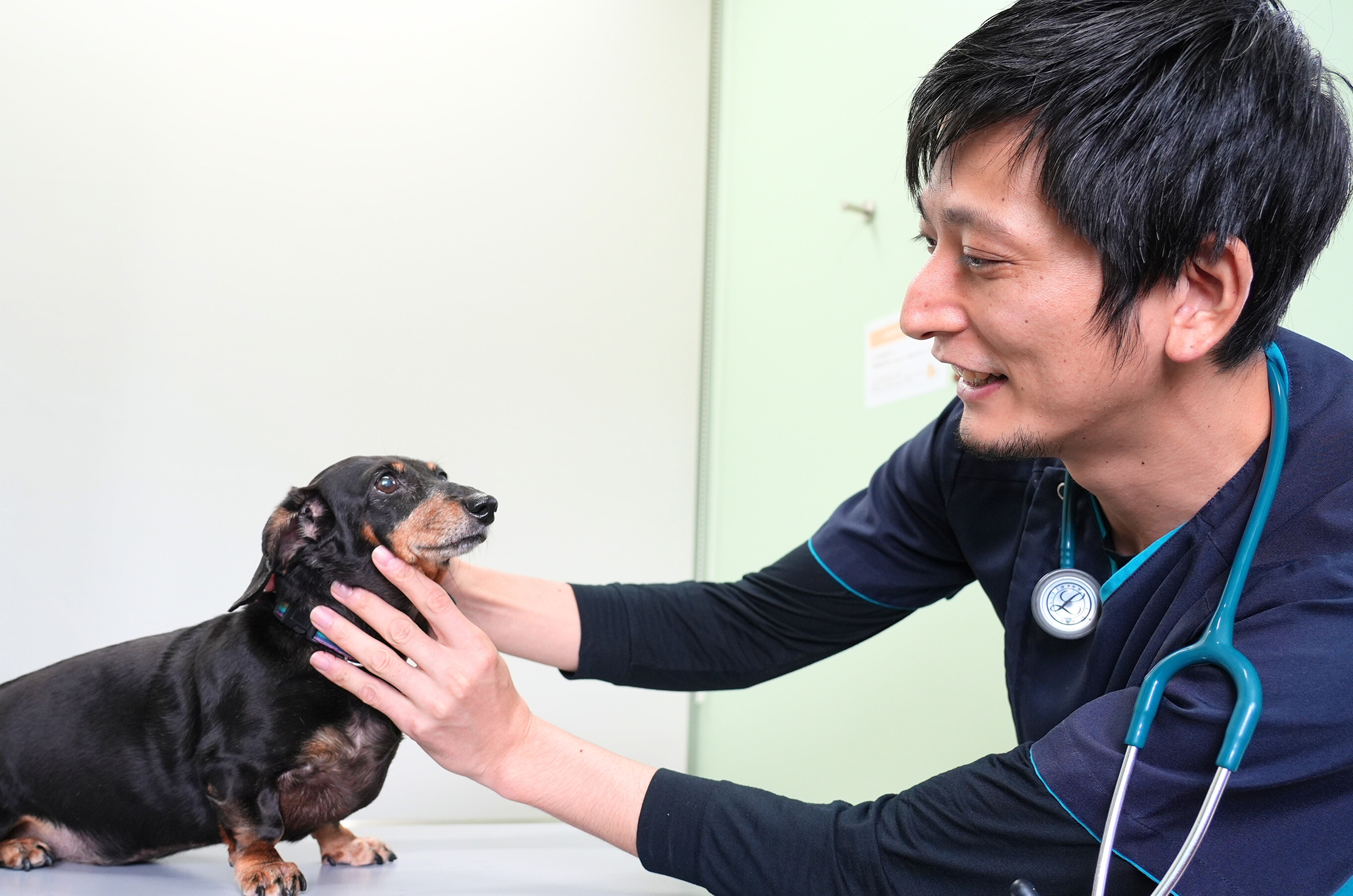 横浜ゆめが丘院