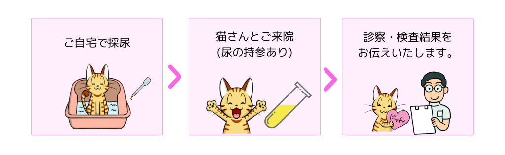 猫の採尿の仕方　自然排尿