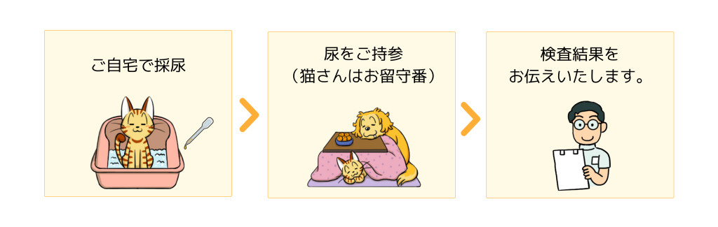 猫の採尿の仕方　自宅で結果を待つ方法