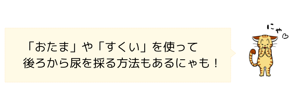 おたまやすくいで採尿する方法