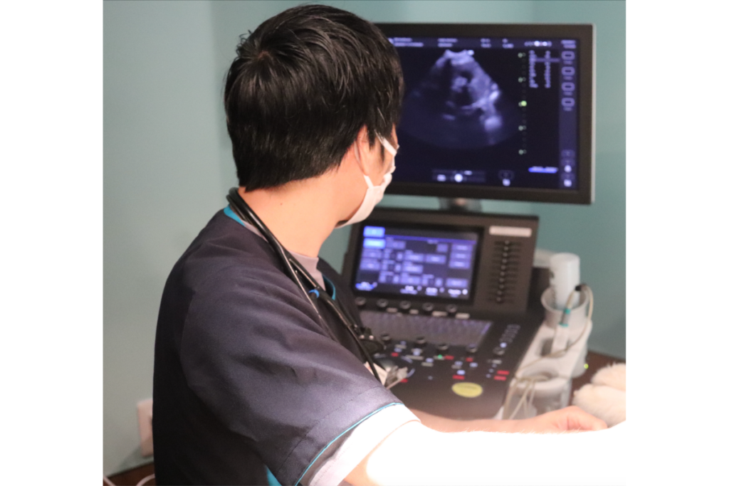 エコー検査で心臓の大きさを計測しています