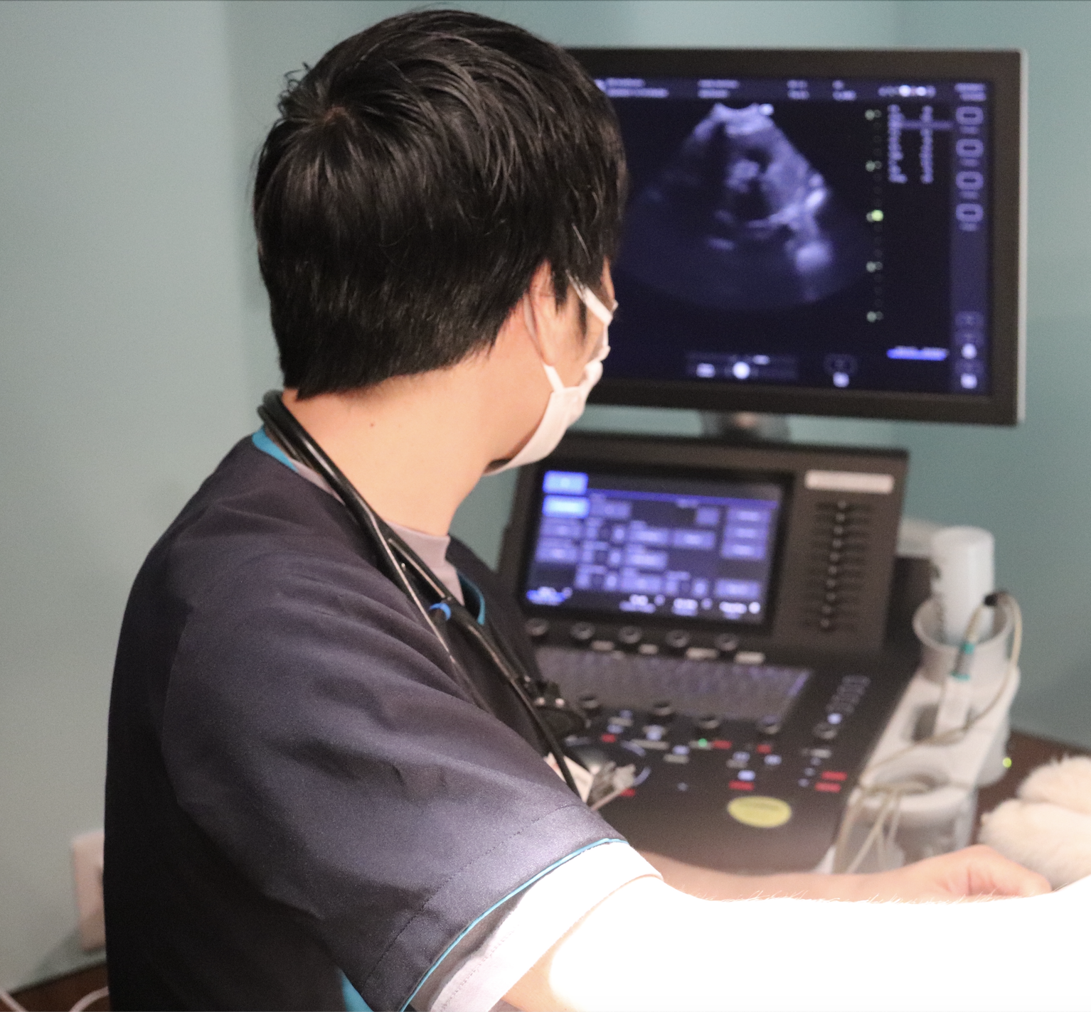 エコー検査で心臓の大きさを計測しています