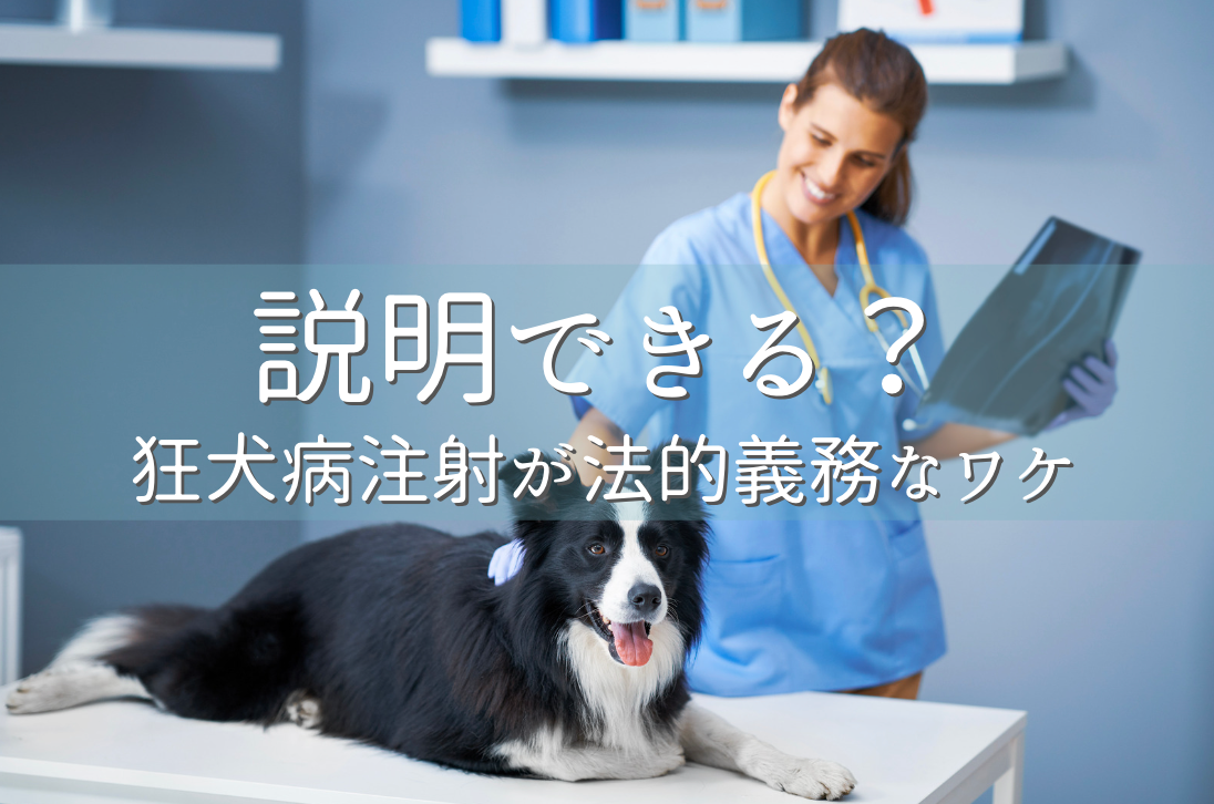説明できる？狂犬病注射が法的義務なワケ