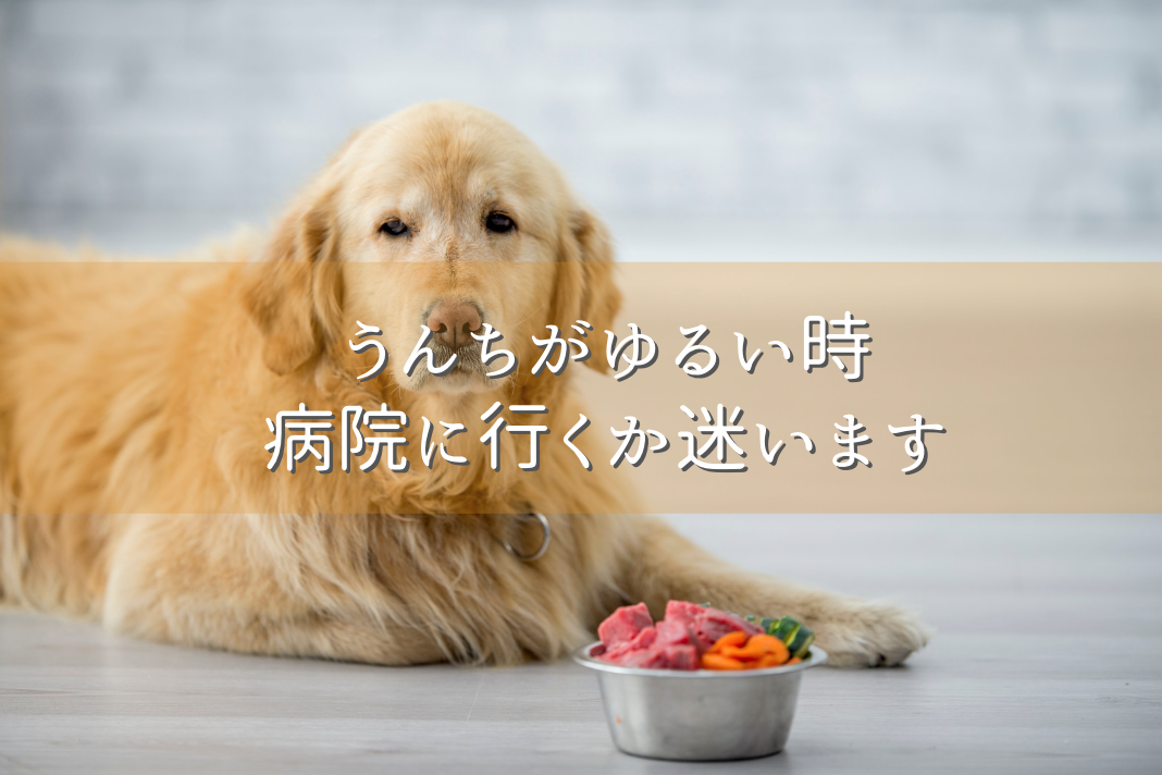 うんちがゆるい時病院に行くか迷います