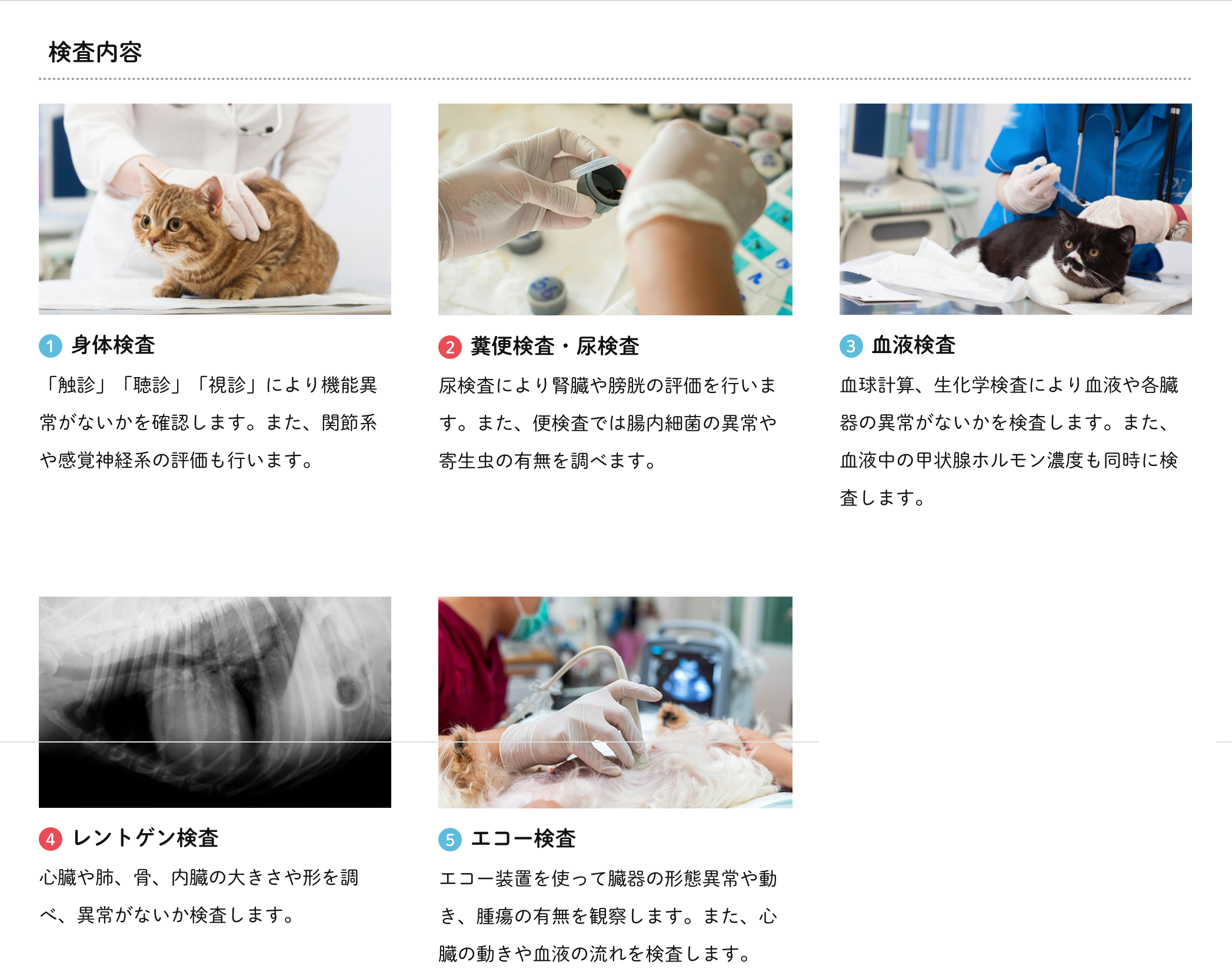 検査のイメージ一覧