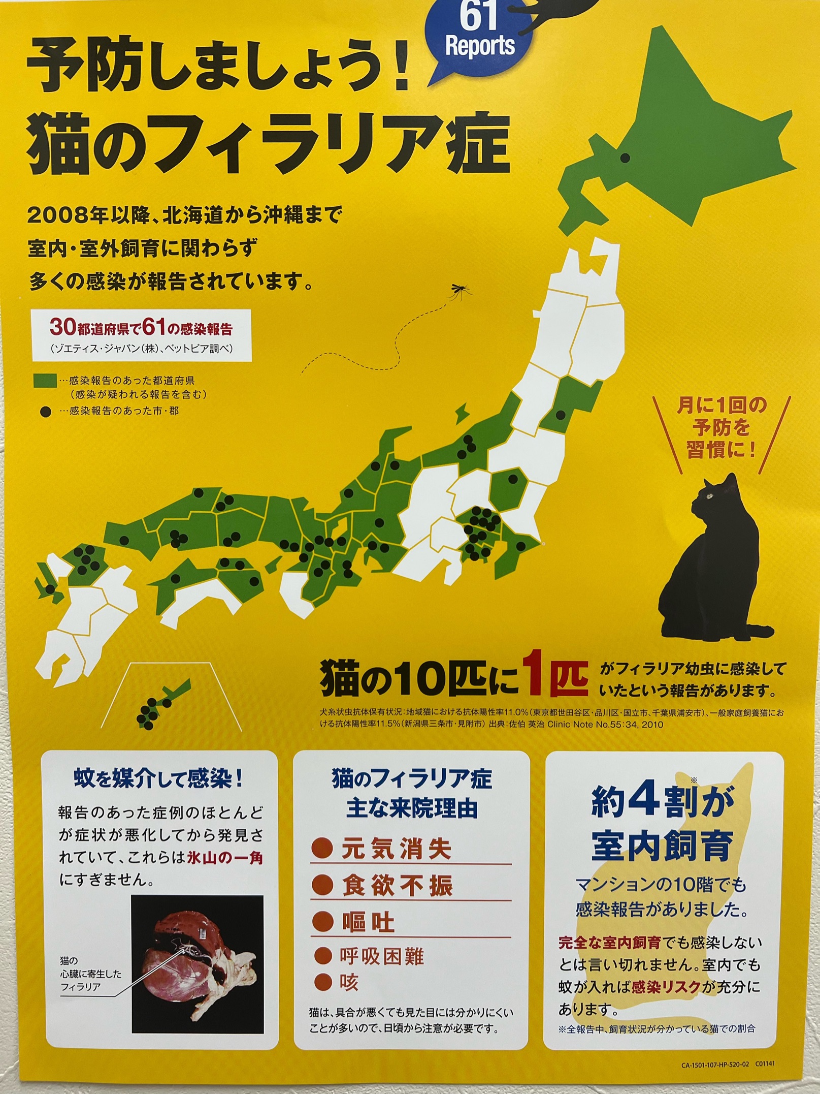 猫のフィラリア症のポスター