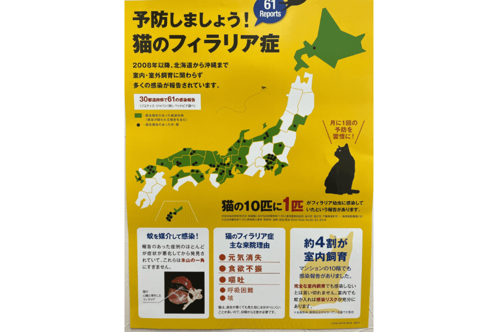 猫のフィラリア症のポスター