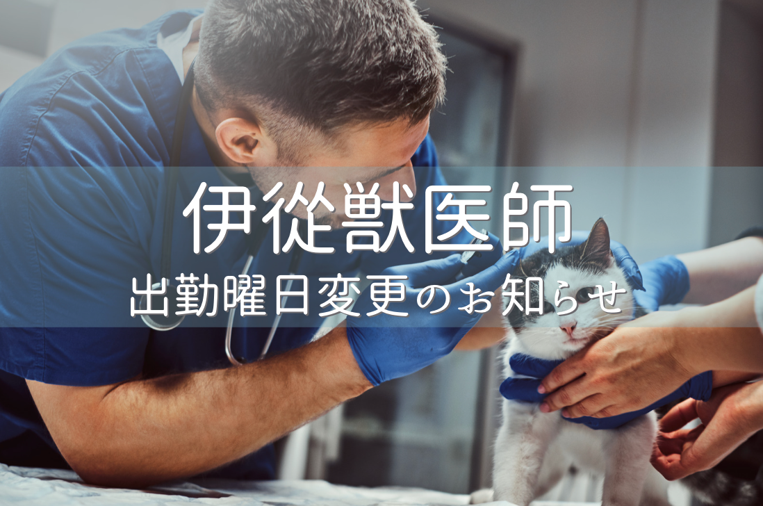 伊従獣医師　出勤曜日変更のお知らせ