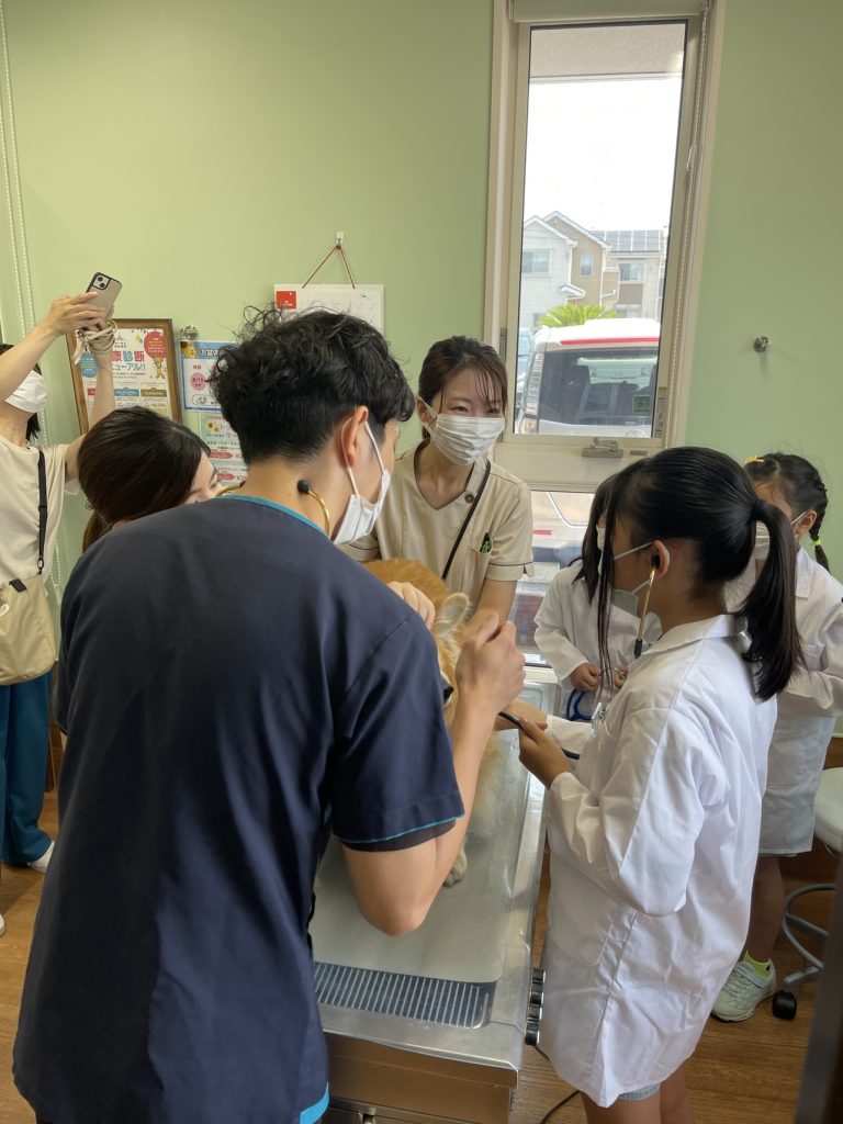 子供達が獣医師とともに聴診している様子