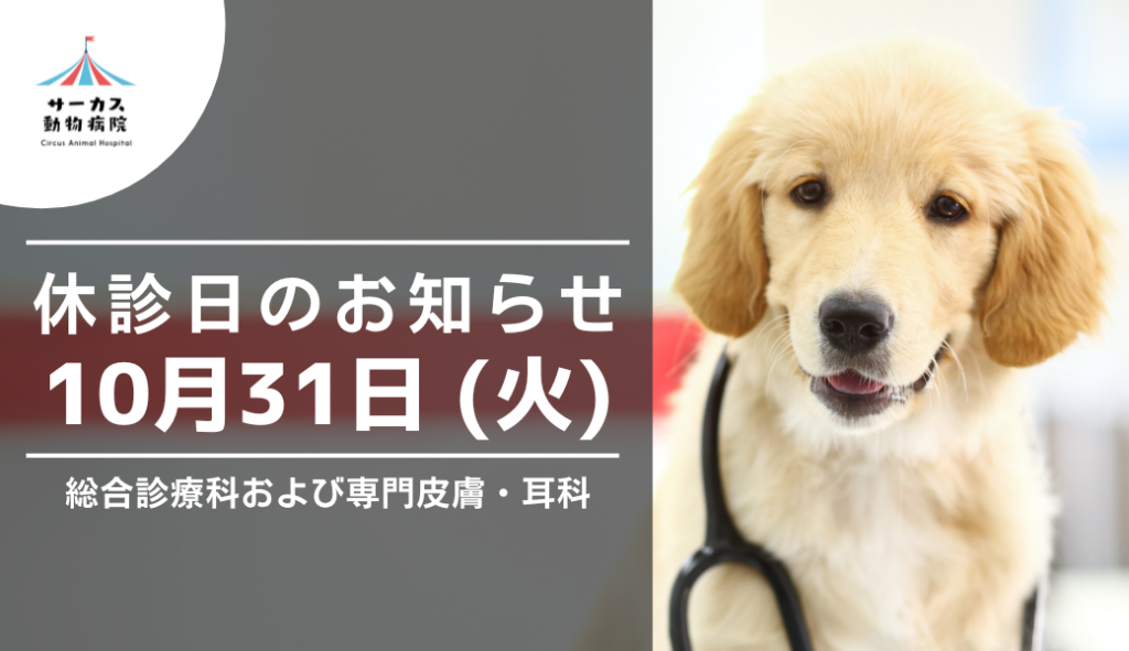 休診日のお知らせ