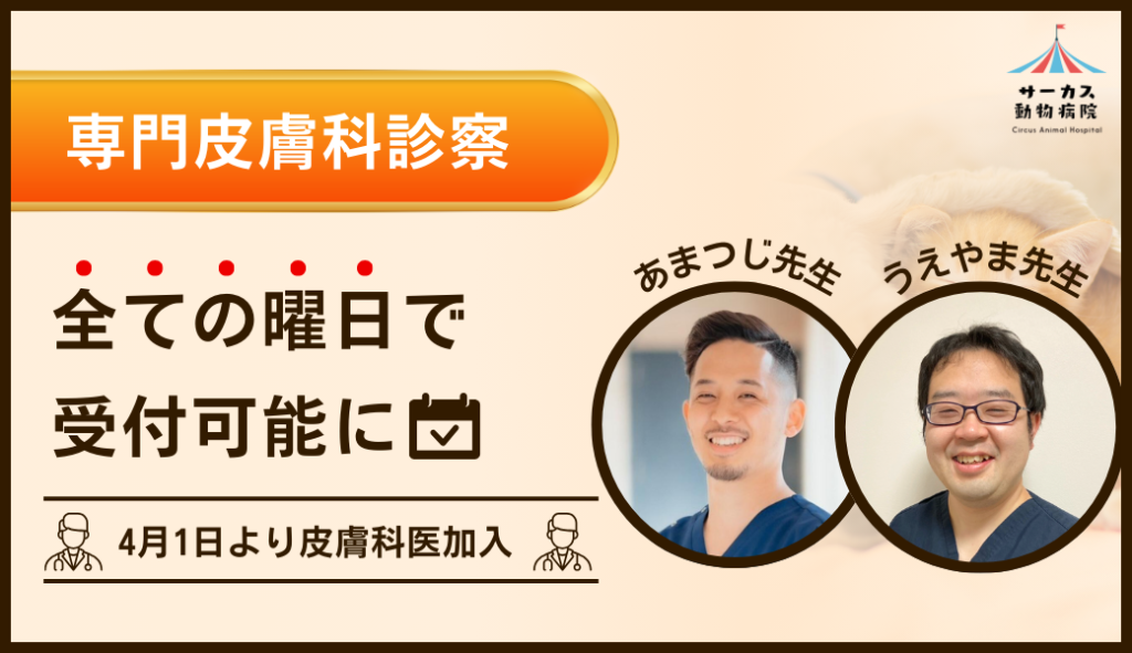 専門皮膚科診察のお知らせ