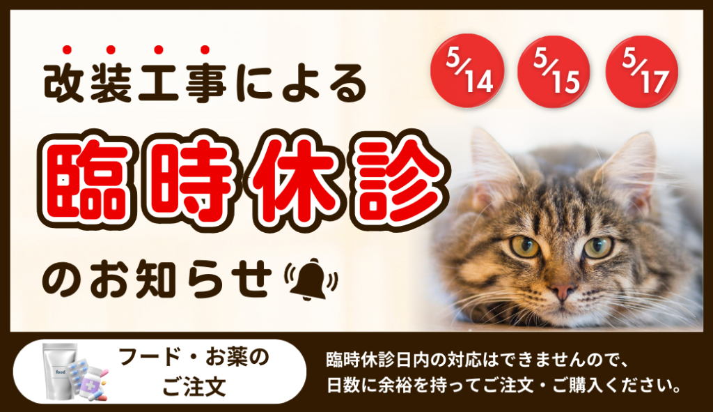 改装工事による臨時休診のお知らせ