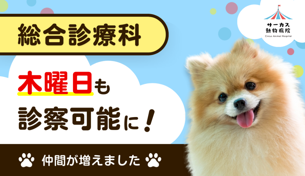 総合診療科木曜日も診察可能に！