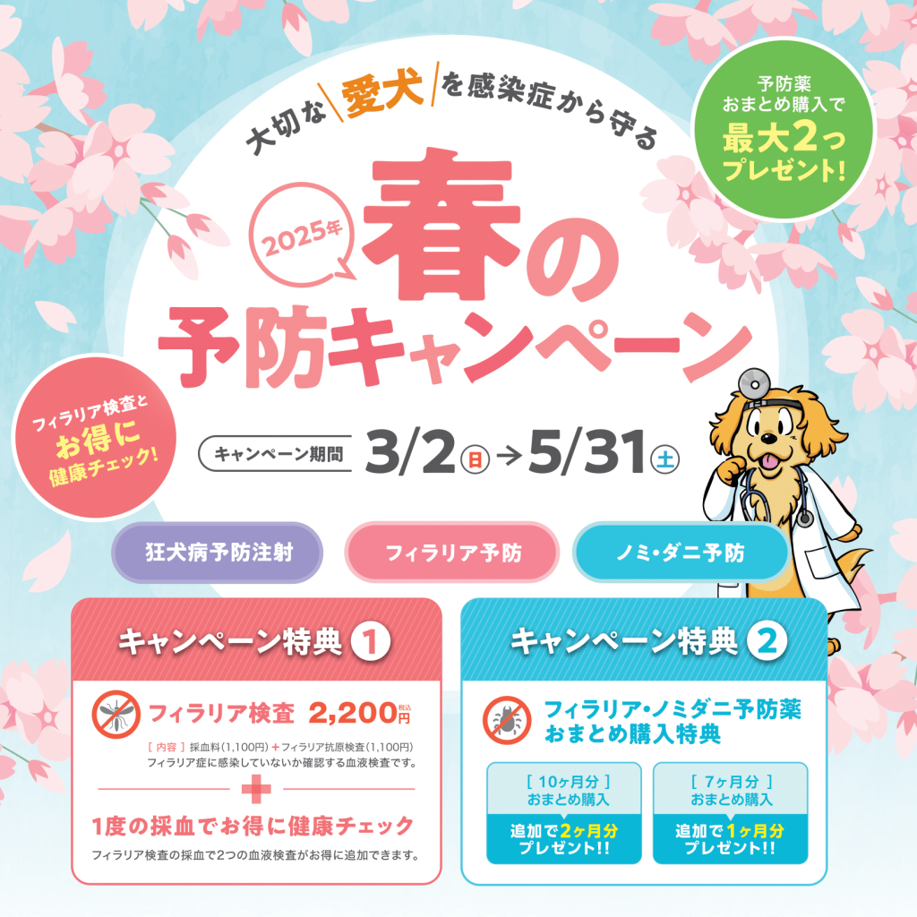 春の予防キャンペーン詳細