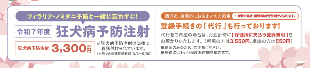 狂犬病予防注射の詳細