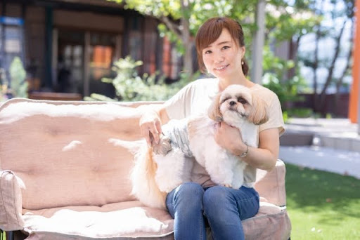 シーズーを抱っこしている飼い主