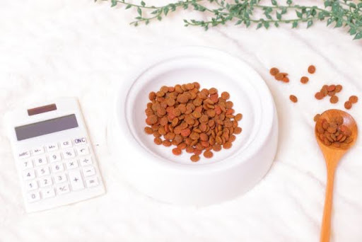 白い容器に入るドッグフード