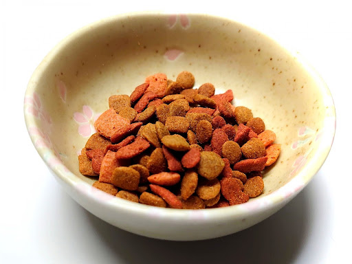 キャットフード