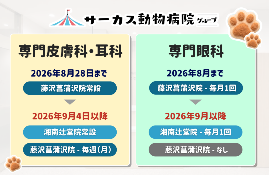 現在の画像: 専門皮膚科・専門眼科の診療拠点変更