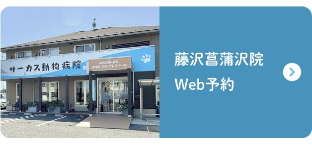 藤沢菖蒲院予約