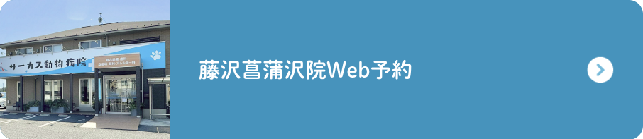 藤沢菖蒲院予約