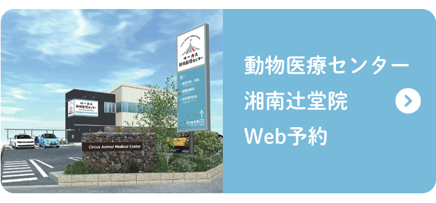 湘南辻堂院予約