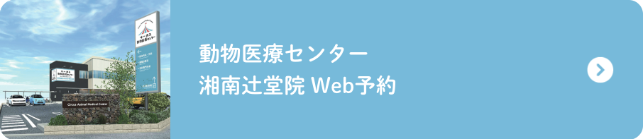 湘南辻堂院予約