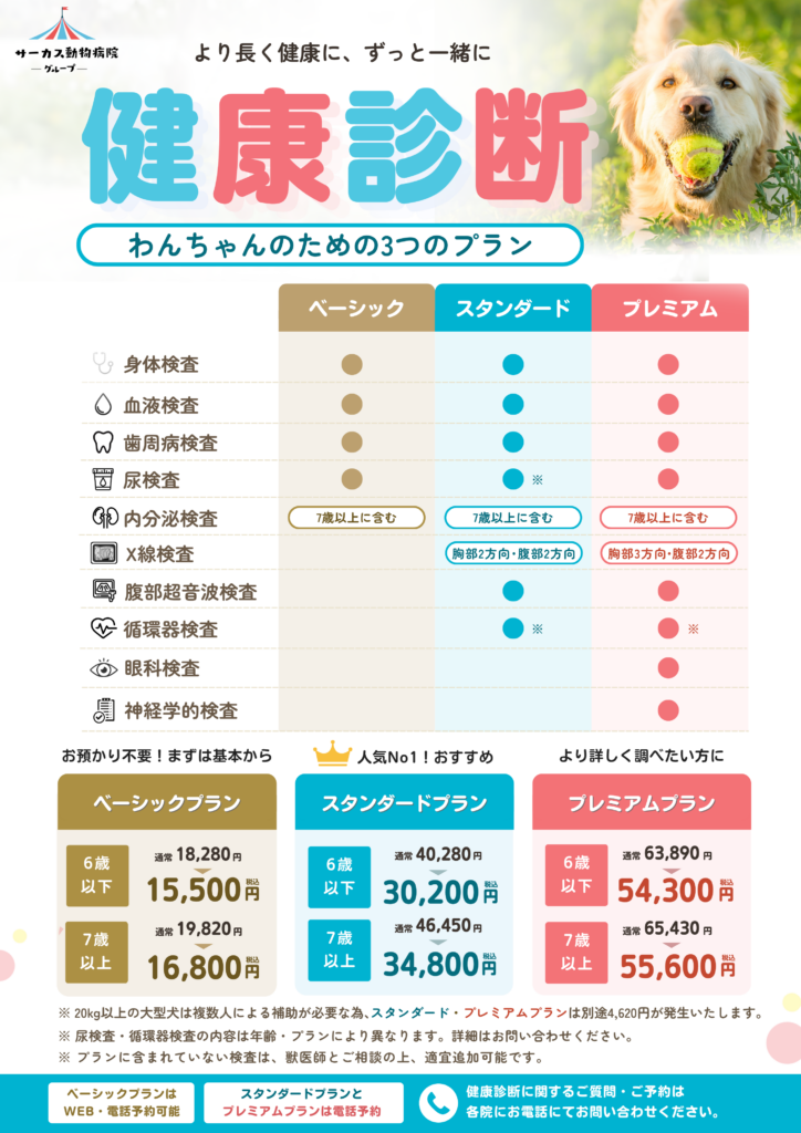 わんちゃんの健康診断