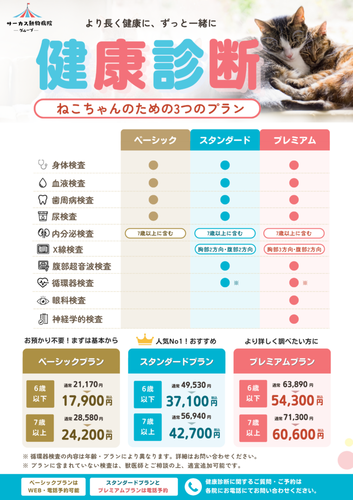 ねこちゃんの健康診断