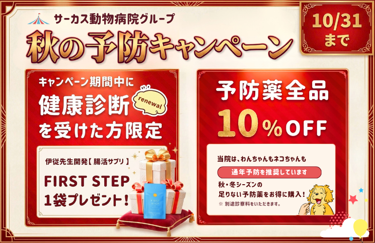 10月秋の予防キャンペーン