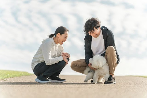 犬と戯れる飼い主たち