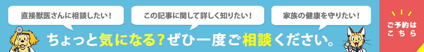 直接獣医さんに相談した！この記事に関して詳しく知りたい！家族の健康を守りたい！ちょっと気になる？ぜひ一度ご相談ください。サーカス動物病院のご予約はこちら